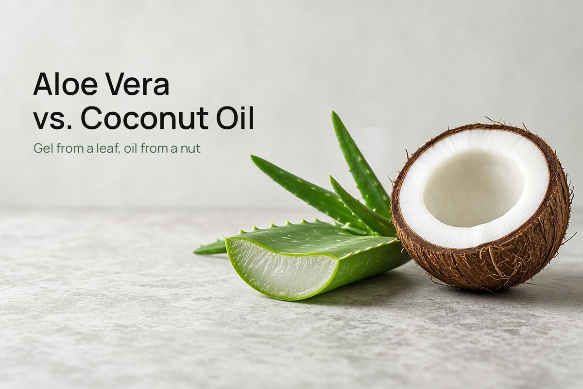 A cut aloe vera leaf showing its clear gel next to a halved coconut on a light stone counter